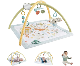 Fisher Price Simply Senses Newborn Gym